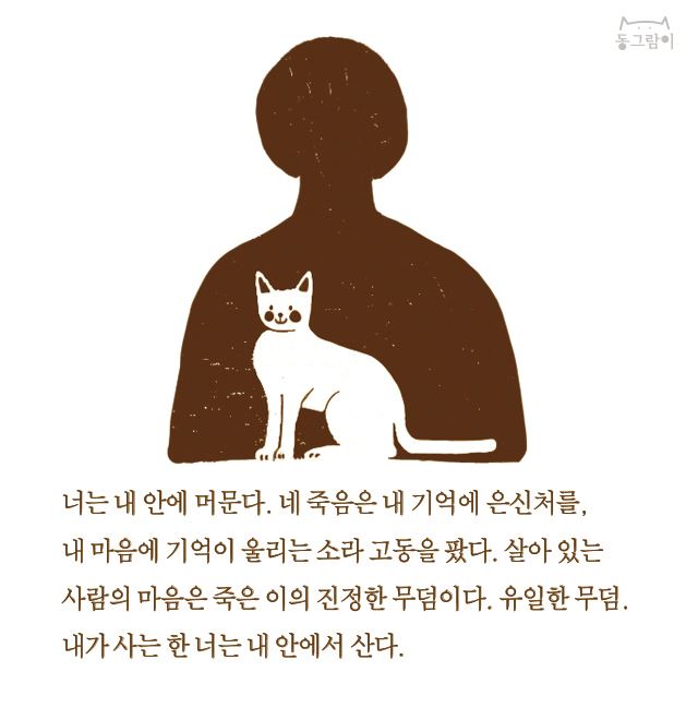 고양이편지 이미지