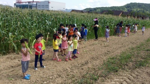 진안마이꿈유치원 이미지
