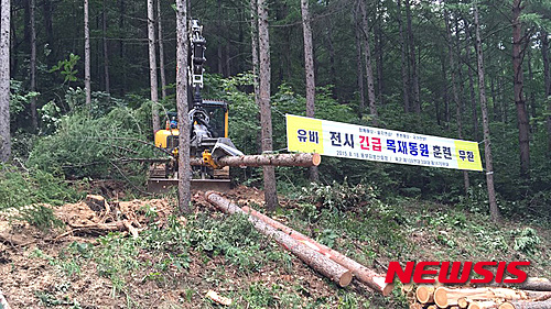 동원목재 이미지