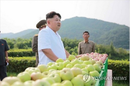 이나라농장 이미지