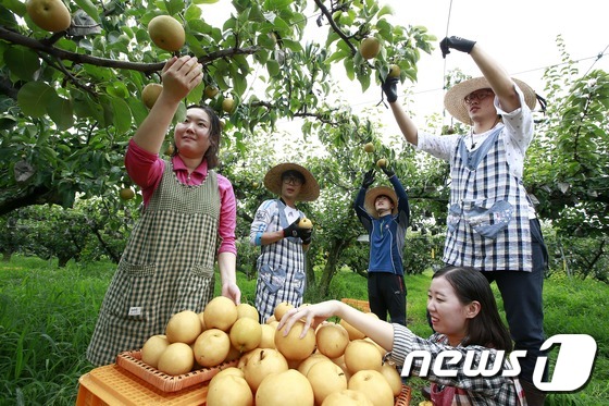 한아름축산 이미지