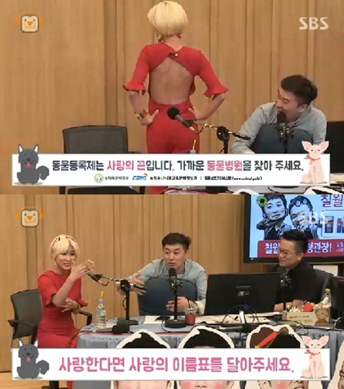 스테파니 이미지