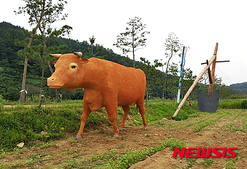 황소 이미지