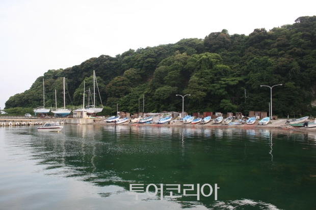 황금자연 이미지