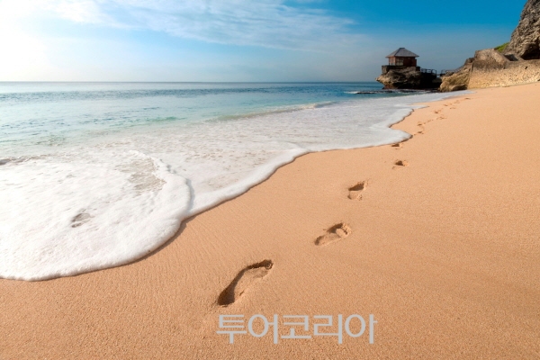 발리 이미지