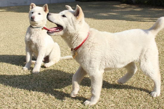 은성축산 이미지