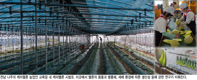농사지어파는사람들 이미지