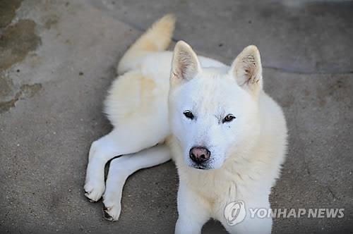 은성축산 이미지