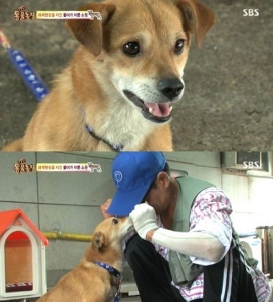 동물농장 이미지
