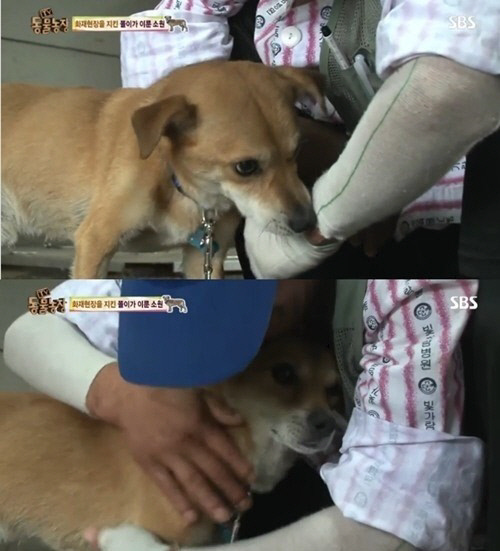 똘이 이미지