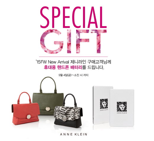 앤클라인핸드백 이미지