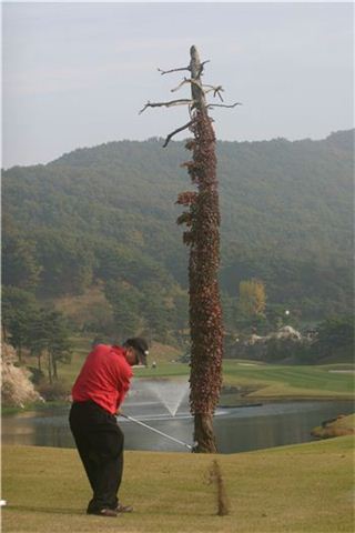 리커버리 이미지