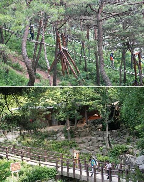 [월간산](위)스릴 만점의 흔들다리 구간. 소나무 숲속에 조성돼 있어 호젓함도 함께 느낄 수 있다. / 산막이마을 초입의 인절미체험관. 탐승객들이 가재연못을 바라보고 있다.