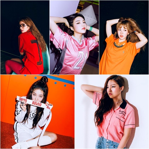 덤덤엔터테인먼트 이미지