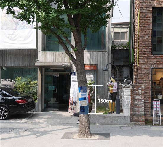 가로수 이미지