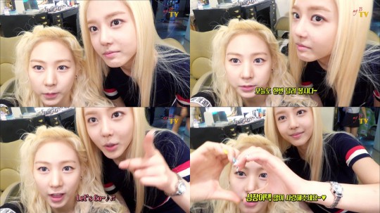 마이비 이미지