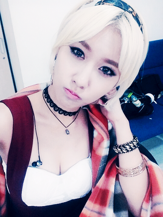 스테파니 이미지