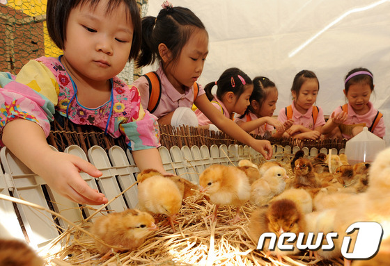 원주축산농협하나로마트 이미지