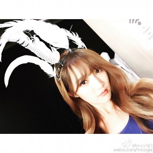 지아장식 이미지