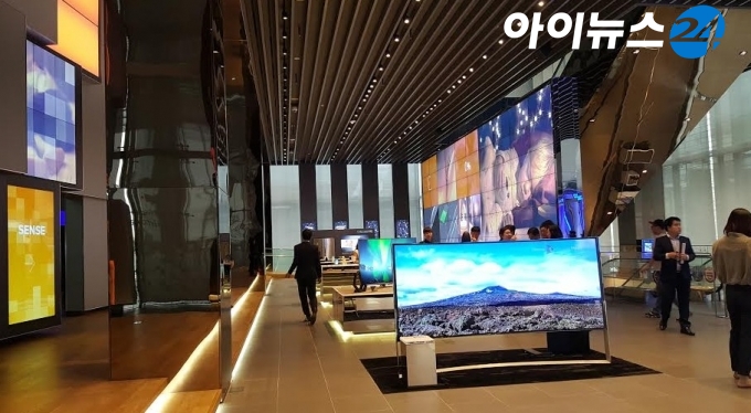 딜라이트비전 이미지