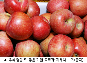 과일바빠 이미지