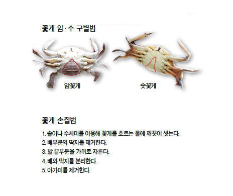 슈퍼꽃게 이미지