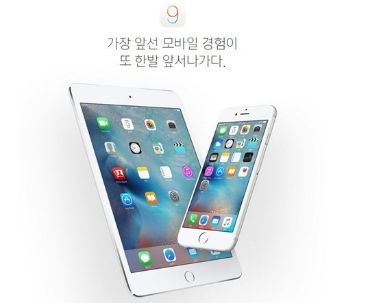 시리 이미지