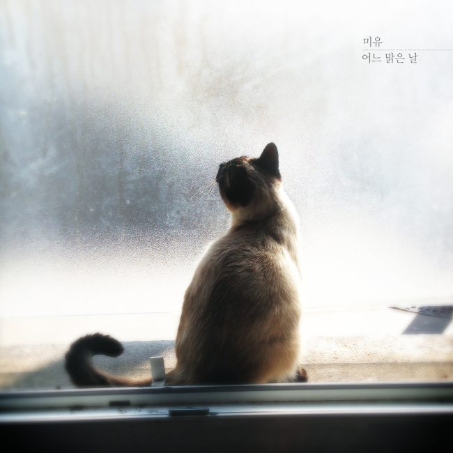 미유 이미지