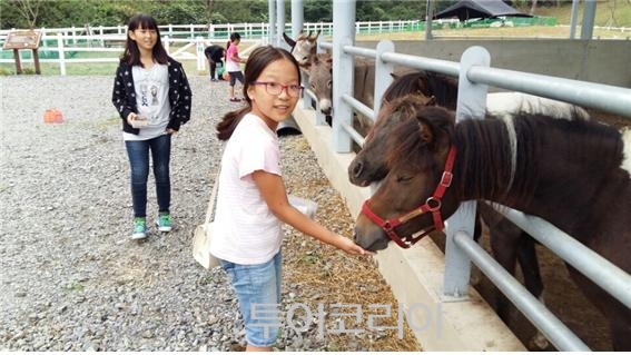 작은쉼터야영장 이미지