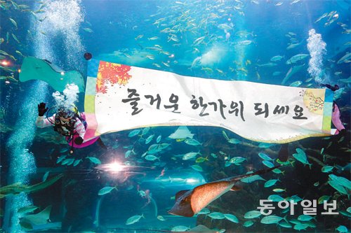 잠수부닷컴 이미지