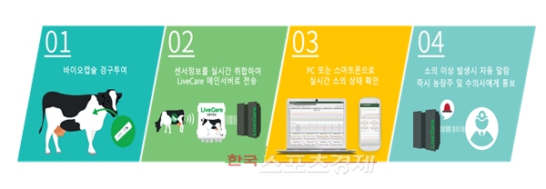 (주)유라이크코리아 이미지