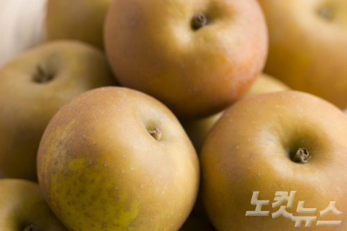 과일한입 이미지