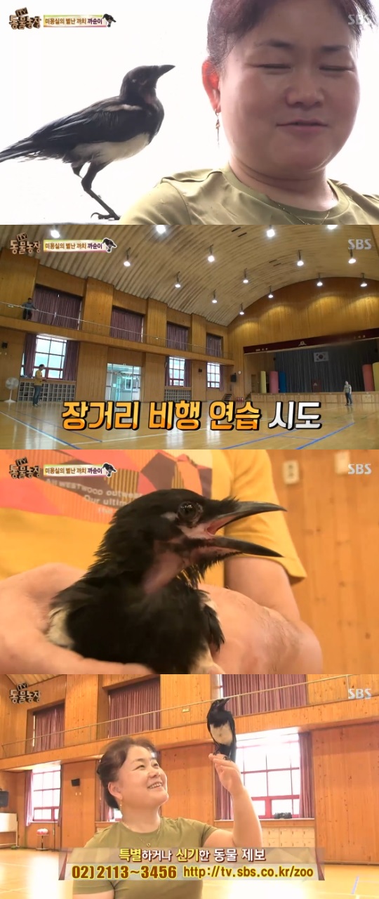 까치미용실 이미지