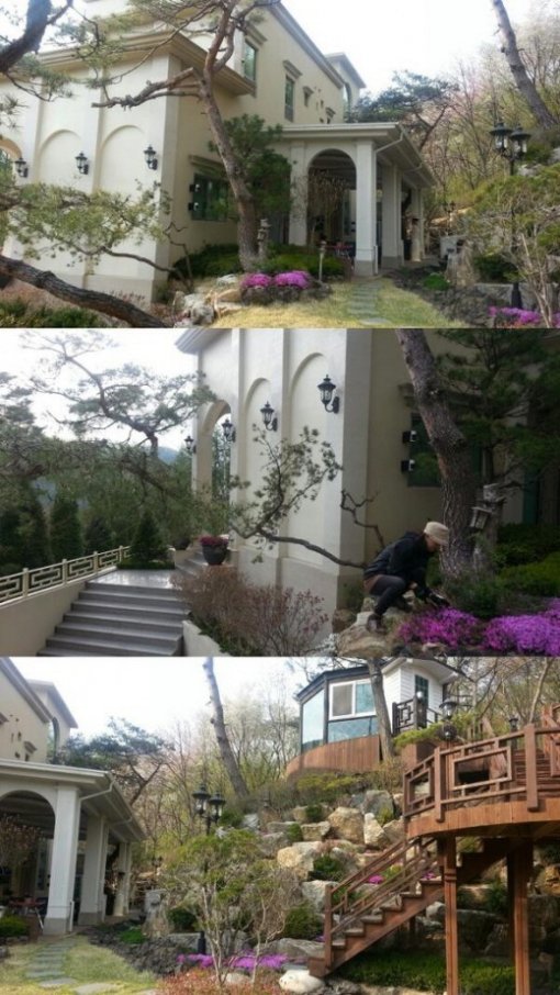 금수환경 이미지