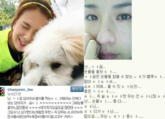 채연 이미지