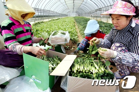 총체보리한우유통센터 이미지