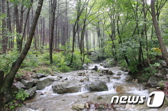 국립자연휴양림관리소(산음자연휴양림) 이미지