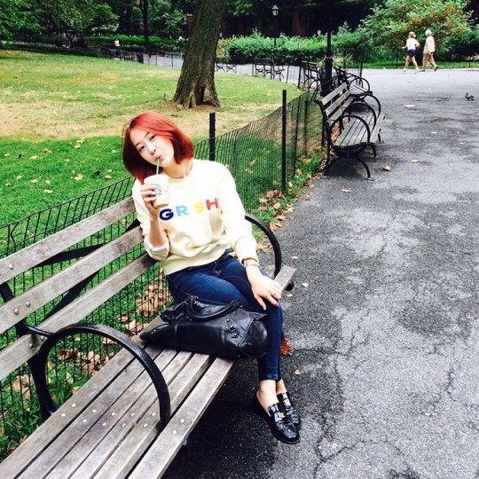 다솜 이미지