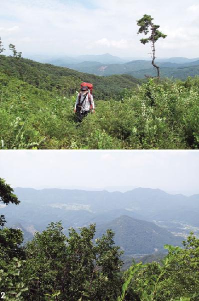 [월간산]1 종자산에서 조망이 가장 시원하게 터지는 산불감시초소에서 북동으로 조망되는 홍천강 건너 금학산. 금학산 왼쪽 아래는 팔봉산이다. 2 산불감시초소에서 북서쪽으로 조망되는 북서릉 360.5m봉(오른쪽 아래). 왼쪽 나뭇잎 뒤로 바위산인 노고산이 살짝 보인다. 오른쪽 360.5m봉 위는 숫산, 노고산과 숫산 뒤는 장락산과 왕터산이다.