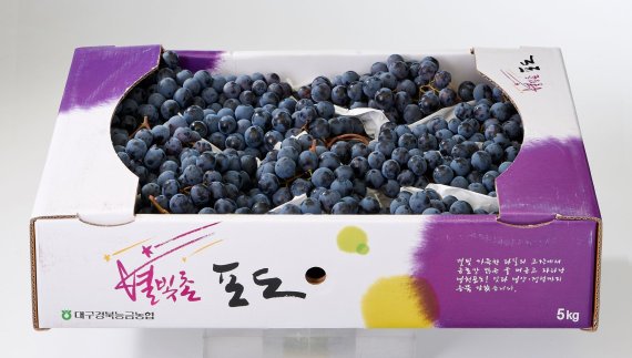 상큼과일 이미지