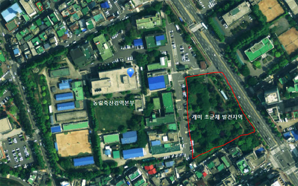 아무도 몰랐던 안양시 땅속의 천만 개미 왕국..운명은? | 인스티즈