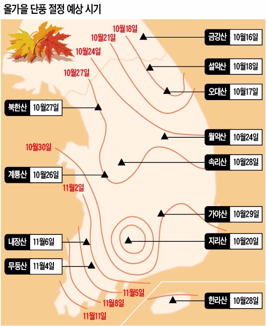 강원산소 이미지