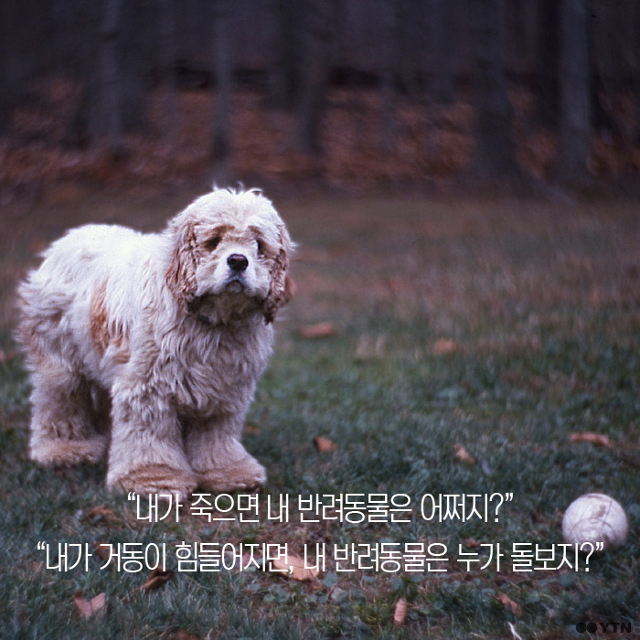 알아 이미지