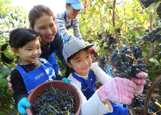 명산물산 이미지