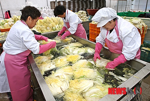 괴산시골절임배추영농조합법인 이미지