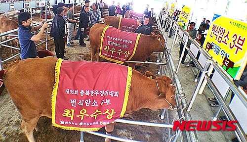 한우 이미지