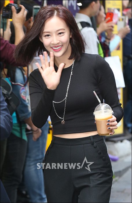 다솜 이미지