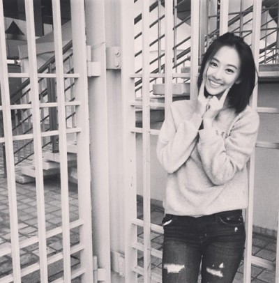 다솜 이미지
