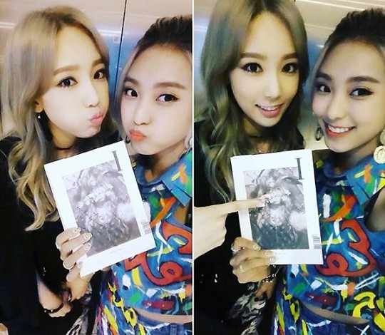 보라 이미지