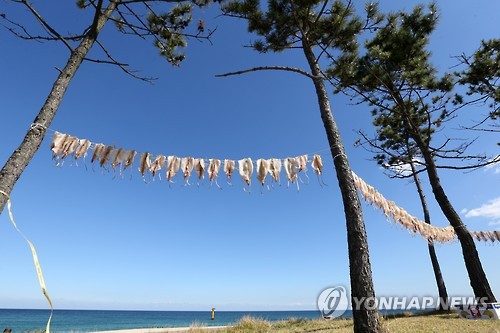 바닷바람 이미지